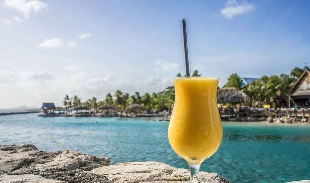 Willibrordus Bandabou Breeze Curacao 아파트 호텔 아파트호텔